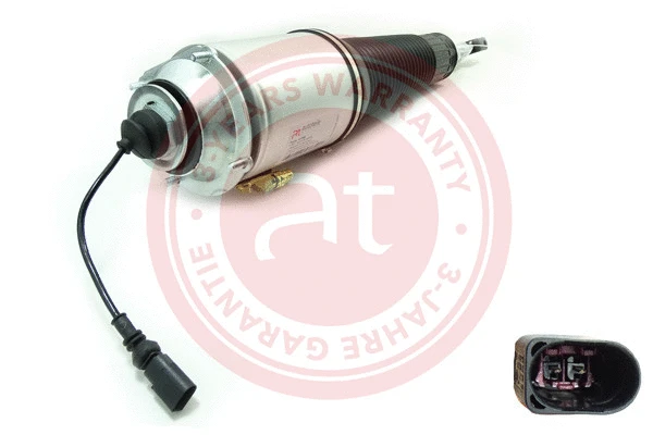 Air Suspension Strut (at10492)