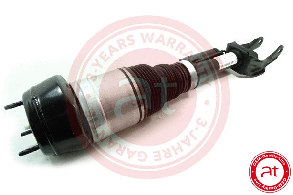 Air Suspension Strut (at10212)