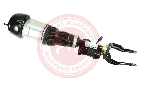 Air Suspension Strut (at10473)