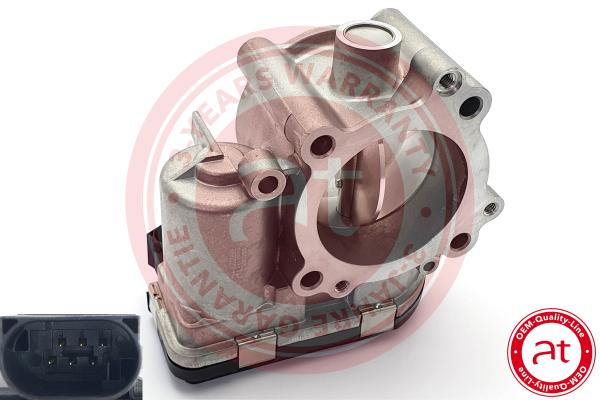 Throttle Body (at20250)