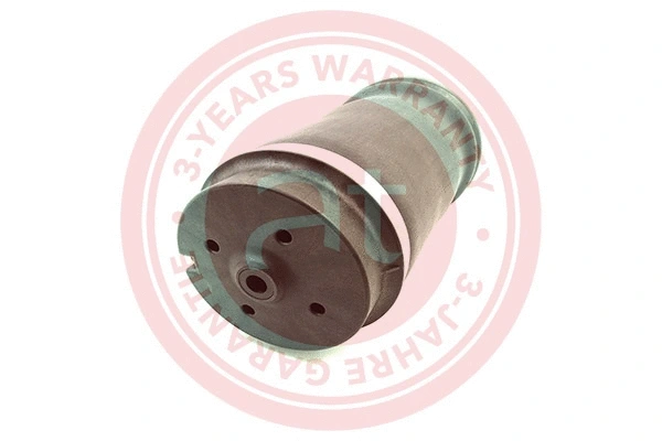 Air Spring, suspension