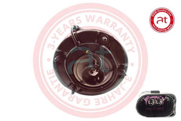 Air Suspension Strut