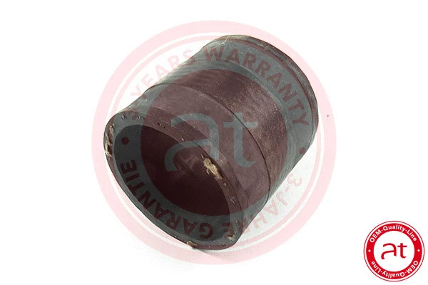 Charge Air Hose (at21100)