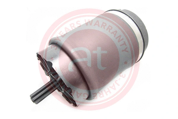 Air Spring, suspension (at10548)