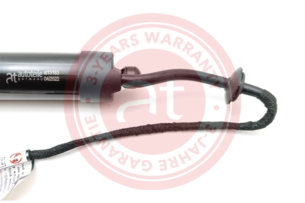 Electric Motor, tailgate