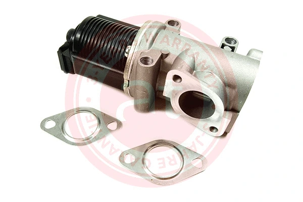 EGR Valve (at20993)