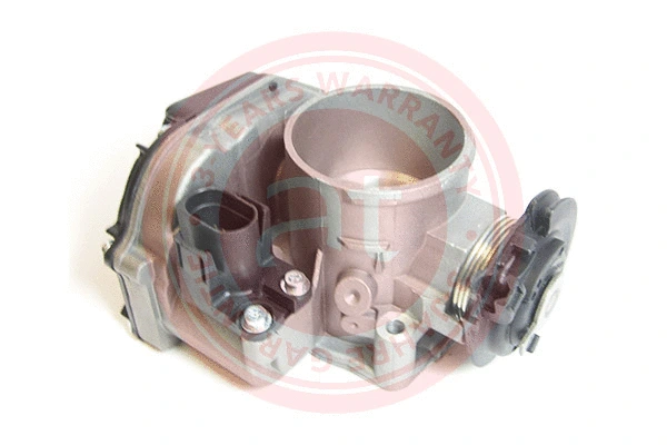 Throttle Body (at20112)