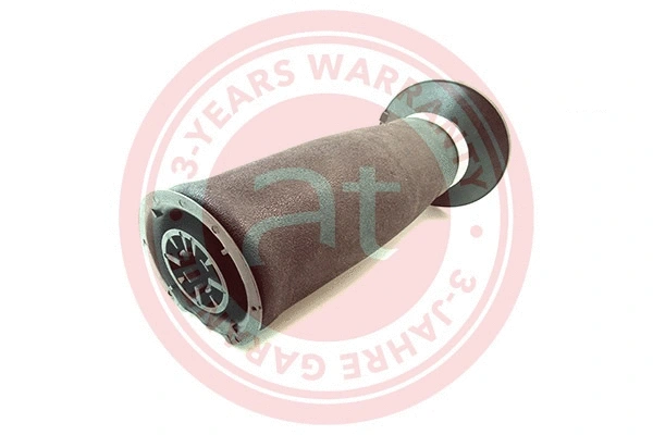 Air Spring, suspension