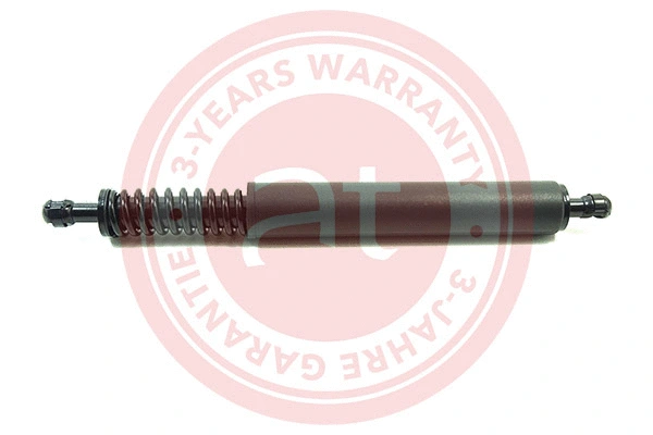 Gas Spring, boot/cargo area