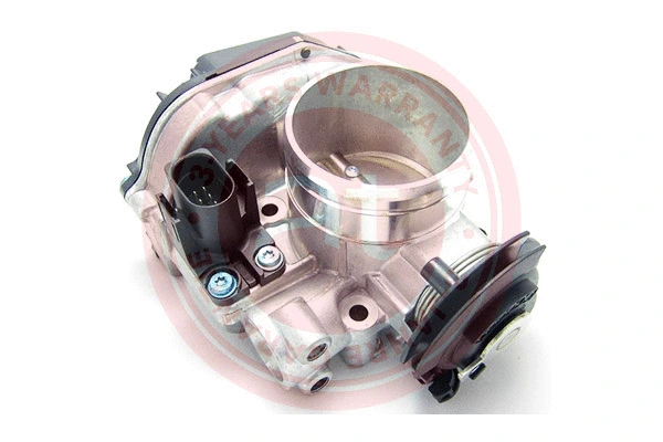Throttle Body (at20192)
