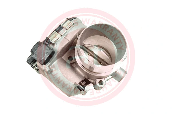 Throttle Body (at20245)
