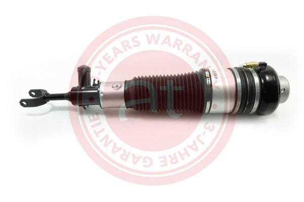 Air Suspension Strut (at10493)