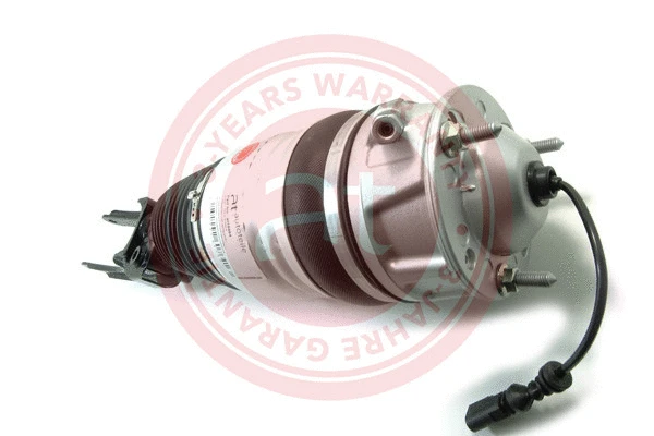 Air Suspension Strut