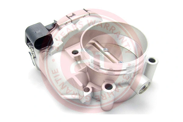 Throttle Body (at20185)