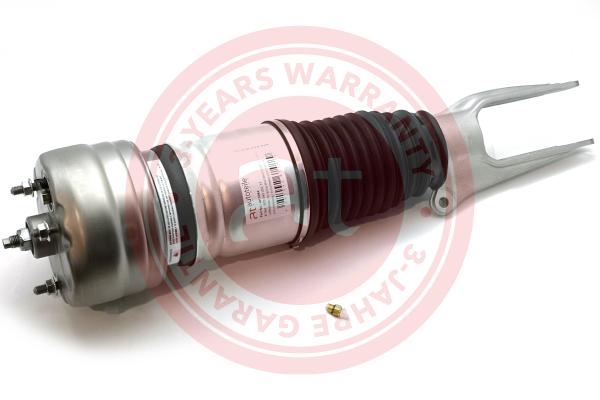 Air Suspension Strut (at13264)