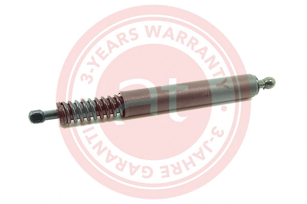 Gas Spring, boot/cargo area (at11923)