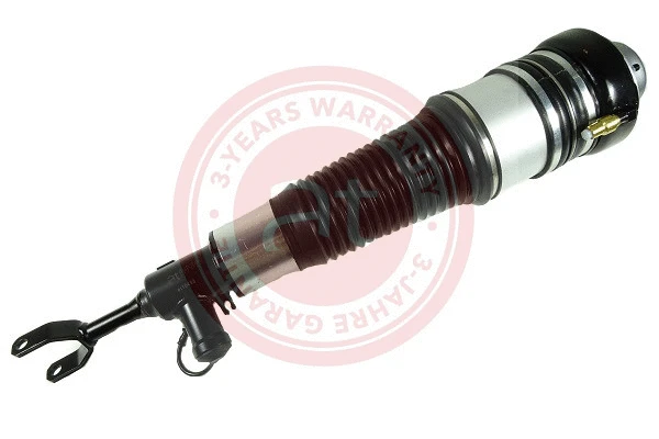 Air Suspension Strut (at10498)