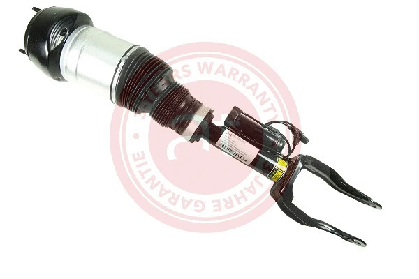 Air Suspension Strut (at10474)