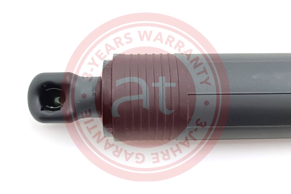 Electric Motor, tailgate