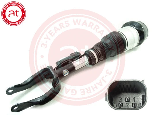 Air Suspension Strut (at10273)