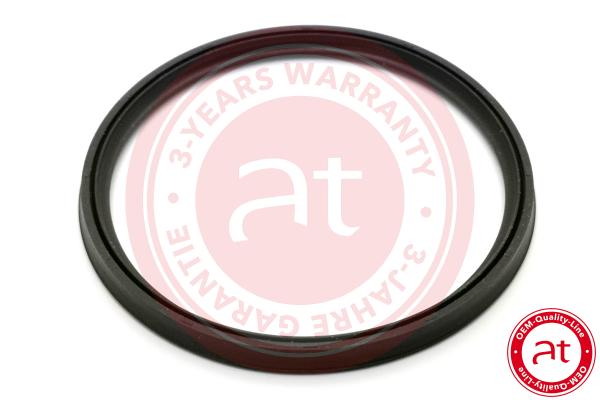 Seal Ring, charge air hose (at23810)