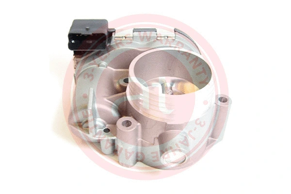 Throttle Body (at20079)