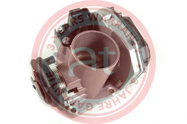 Throttle Body (at20099)