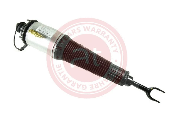Air Suspension Strut (at10494)