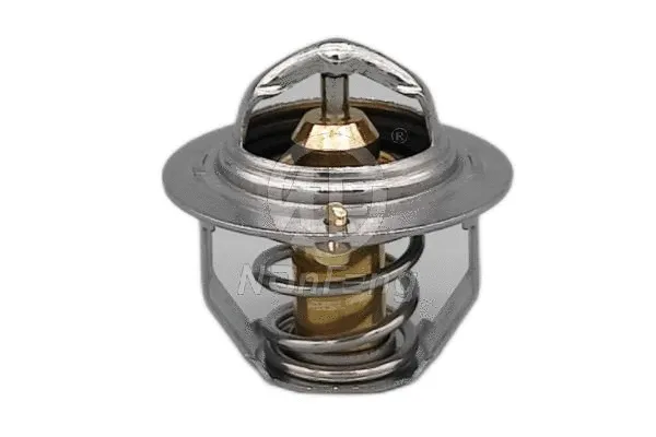 Thermostat, coolant (NF13266)