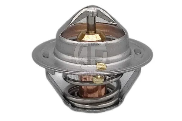 Thermostat, coolant (NF13273)