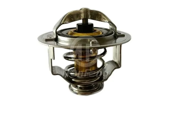 Thermostat, coolant (NF13179)