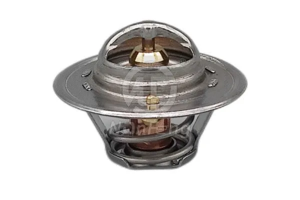 Thermostat, coolant (NF13122)