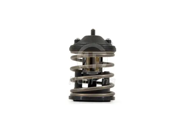 Thermostat, coolant (NF13151)