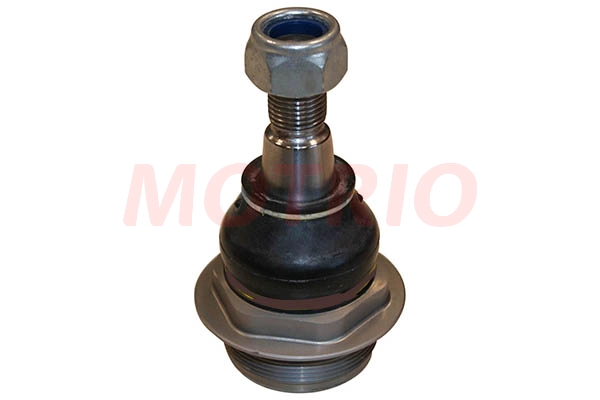 Ball Joint (8660005585)