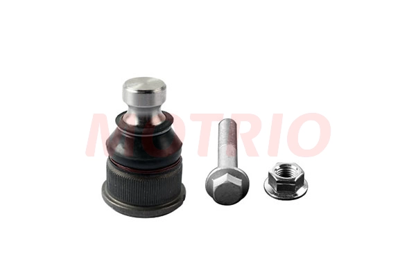 Ball Joint (8660005586)