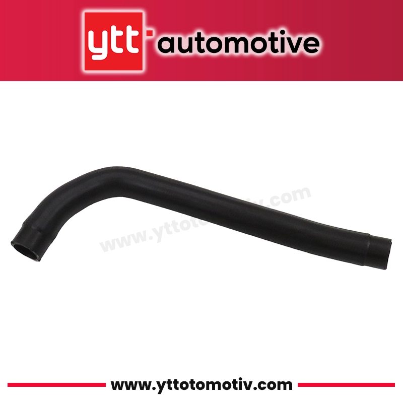 Radiator Hose (Y81182)