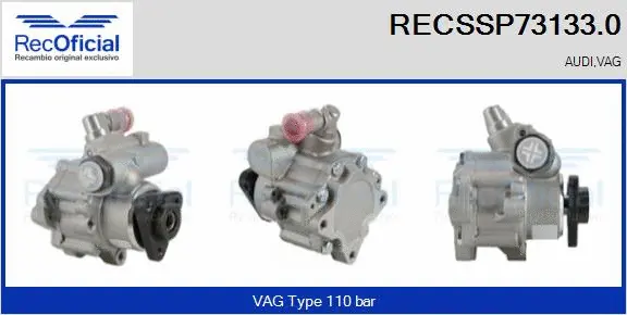 Hydraulic Pump, steering (RECSSP73133.0)