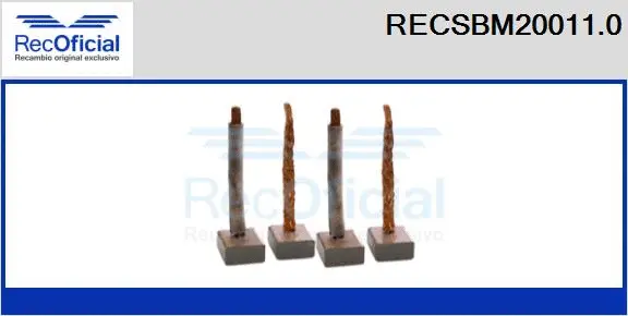 Carbon Brush, starter (RECSBM20011.0)