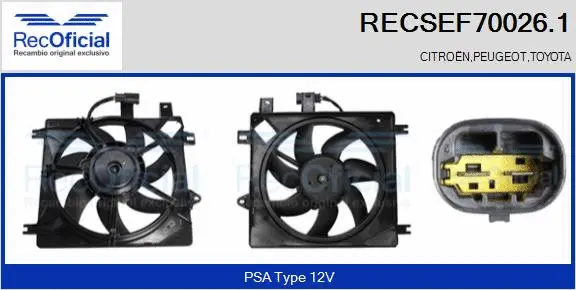 Electric Motor, radiator fan (RECSEF70026.1)