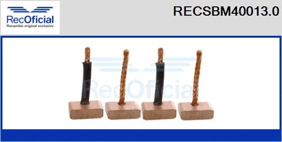 Carbon Brush, starter (RECSBM40013.0)