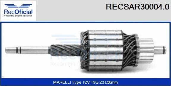 Armature, starter (RECSAR30004.0)