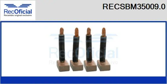 Carbon Brush, starter (RECSBM35009.0)