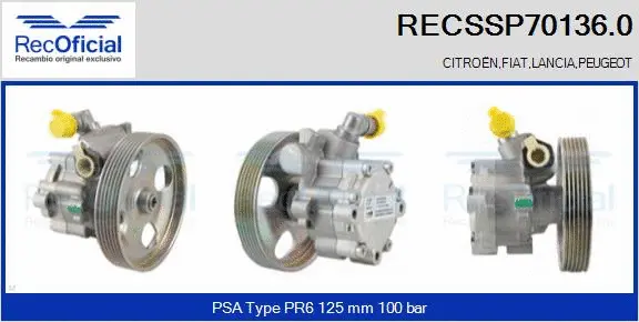 Hydraulic Pump, steering (RECSSP70136.0)