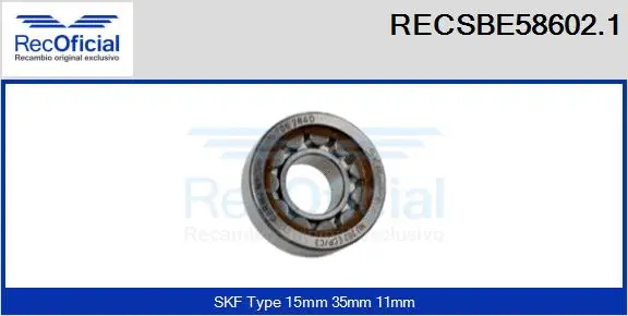 Bearing (RECSBE58602.1)
