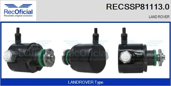 Hydraulic Pump, steering (RECSSP81113.0)