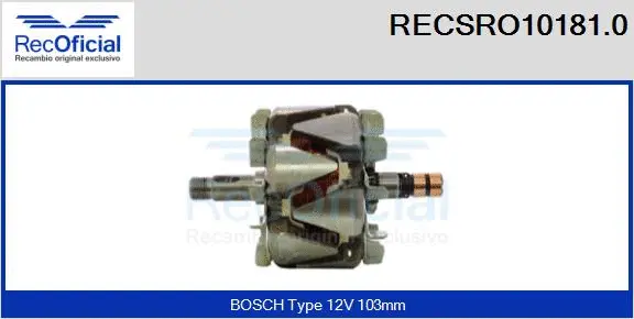 Rotor, alternator (RECSRO10181.0)