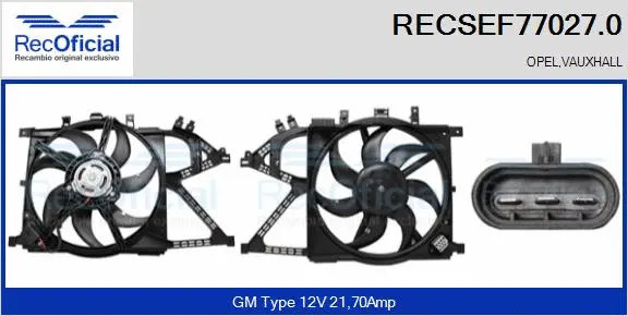 Electric Motor, radiator fan (RECSEF77027.0)