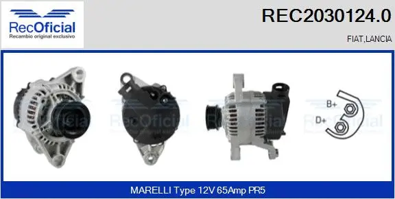 Alternator (REC2030124.0)