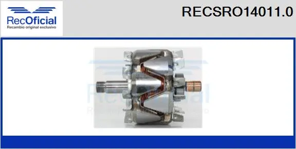 Rotor, alternator (RECSRO14011.0)