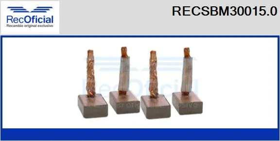 Carbon Brush, starter (RECSBM30015.0)